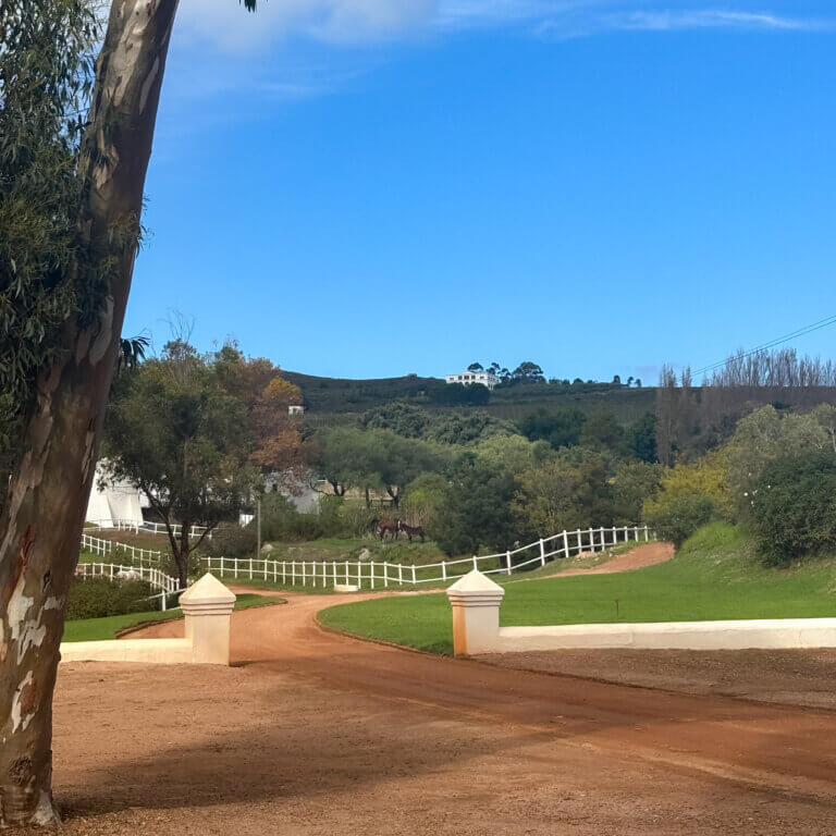 Mount Vernon