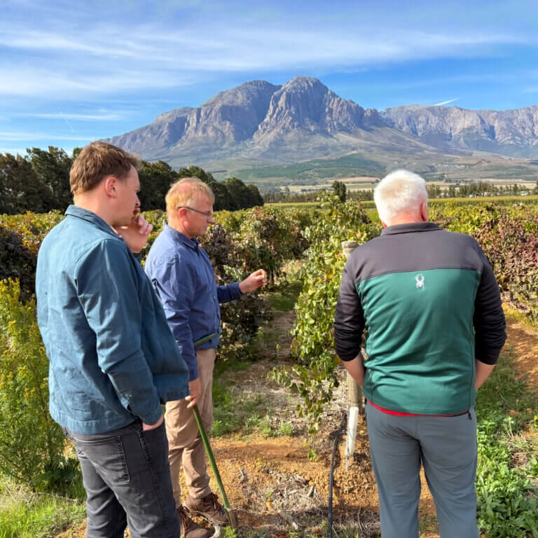 Bergsig-Estate-Vineyard-Tour