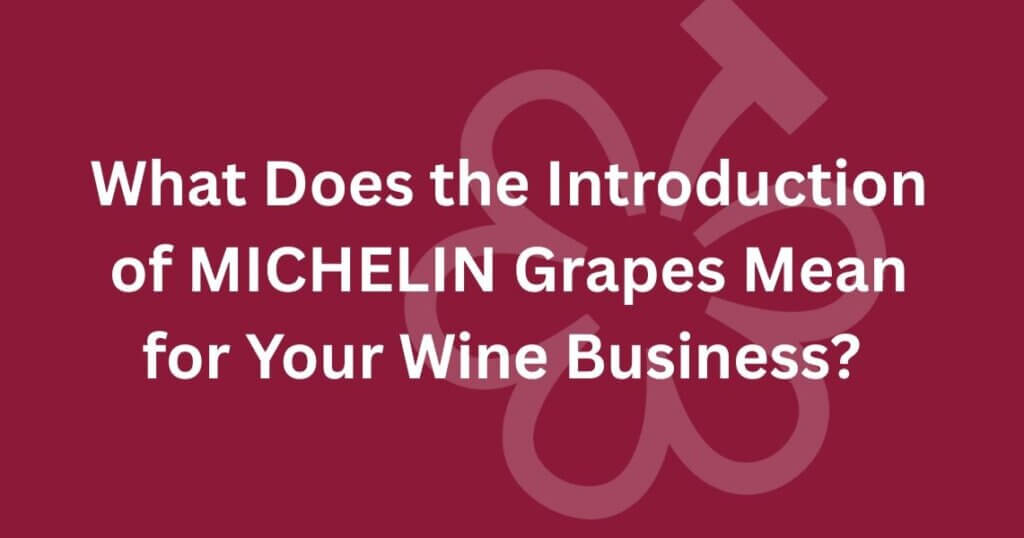 MICHELIN Pic Page
